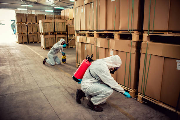 Best Residential Pest Control  in Holmes Beach, FL