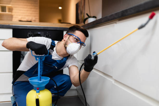Best Wasp Removal Services  in Holmes Beach, FL
