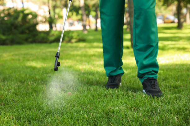 Best Wildlife Control Services  in Holmes Beach, FL