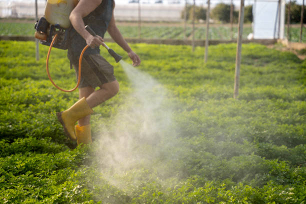 Best Pest Control Cost  in Holmes Beach, FL
