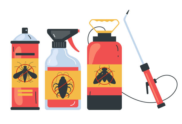 Reliable Holmes Beach, FL Pest Control Solutions