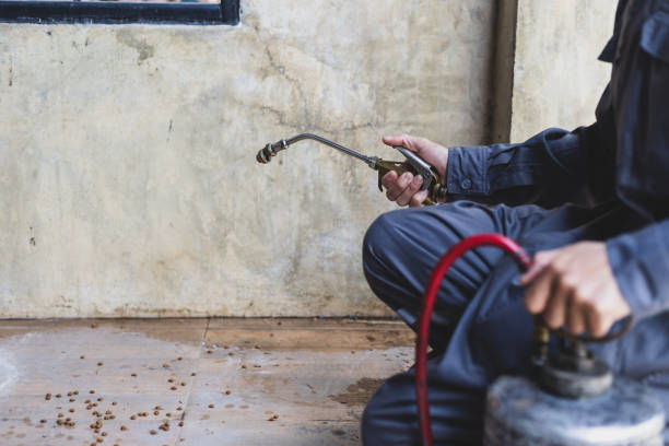 Best Exterminator Services  in Holmes Beach, FL